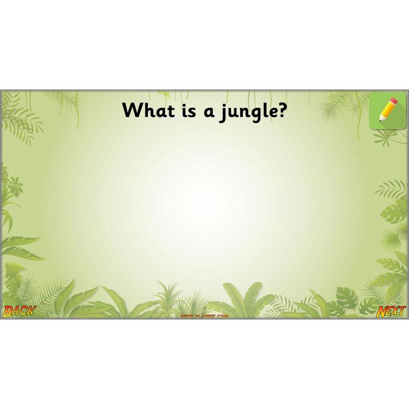 PlanBee Let's go to the Jungle Geography lessons for KS1