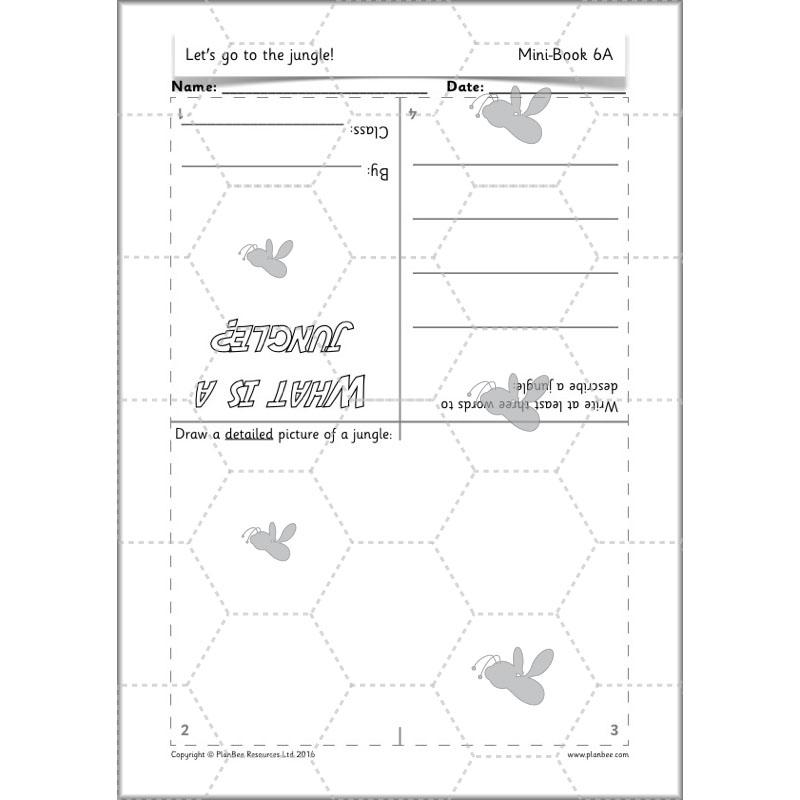 PlanBee Let's go to the Jungle Geography lessons for KS1