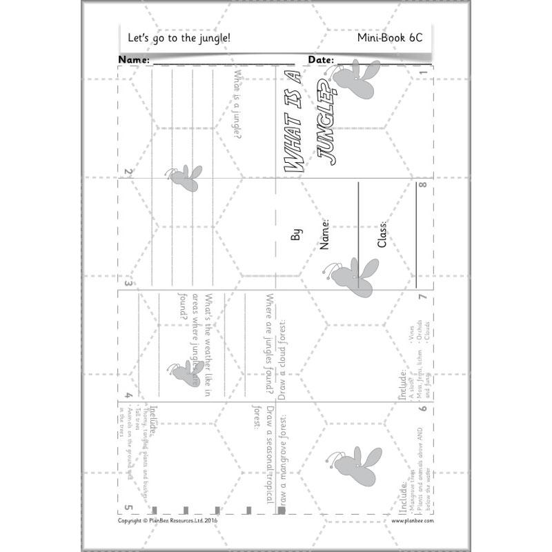 PlanBee Let's go to the Jungle Geography lessons for KS1