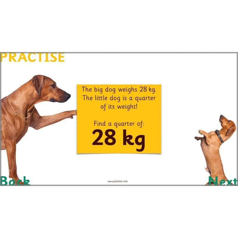 PlanBee Let's halve and quarter!