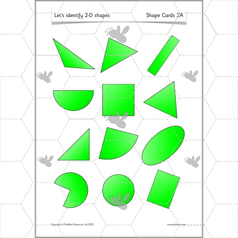 PlanBee Names of 2D shapes Year 1 Maths by PlanBee