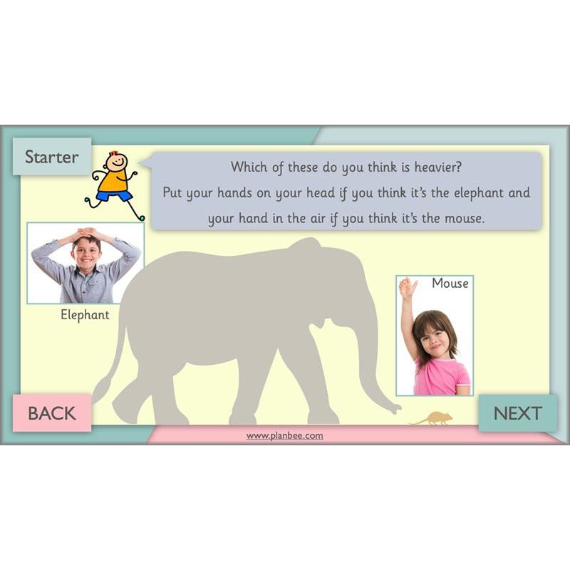 PlanBee Let’s Measure Year 1 Maths Planning