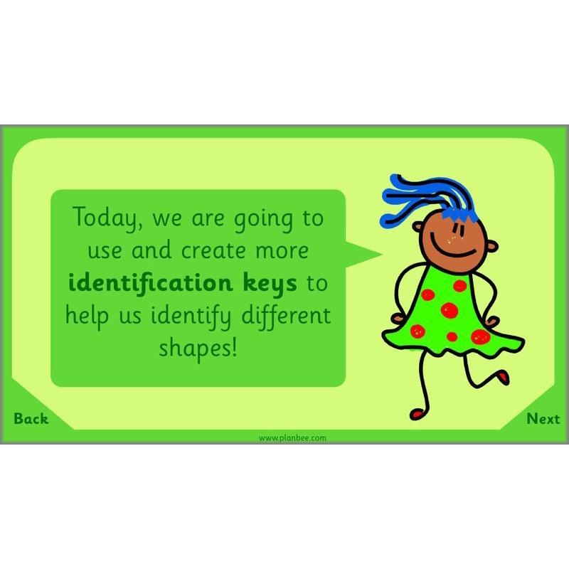 PlanBee Let's Sort Shapes and Objects: Year 2 shapes lesson planning