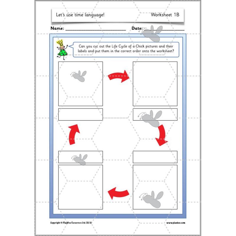 PlanBee Time Language Year 1 Maths lesson | KS1 Maths Plans