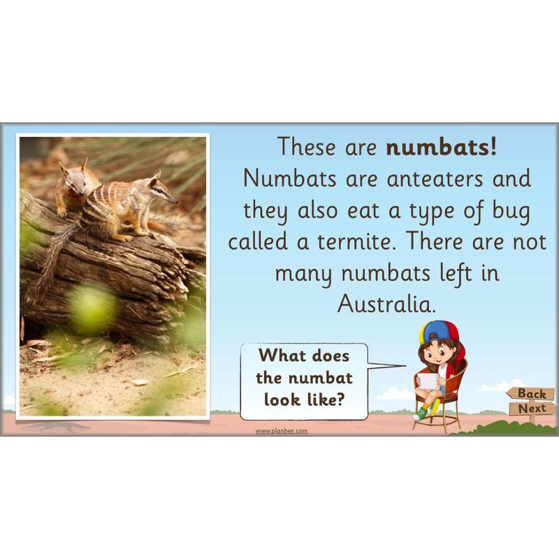 PlanBee Let's visit Australia - KS1 Geography lessons: Year 1 & Year 2