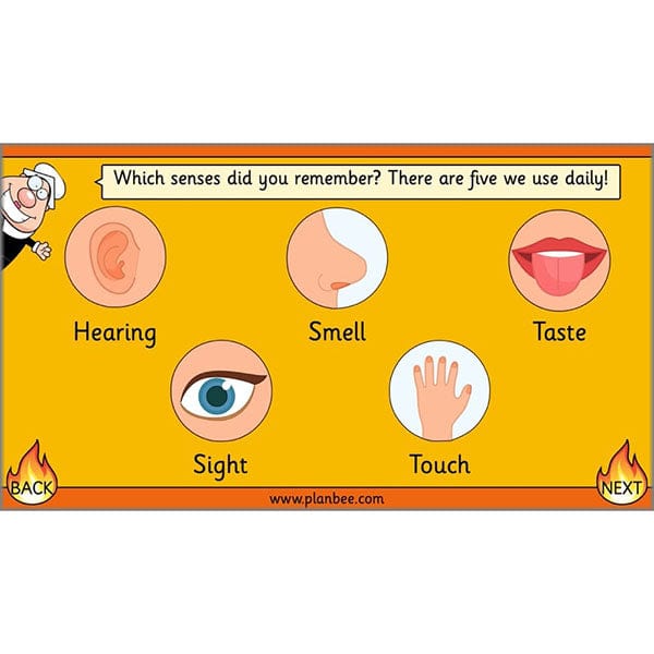 PlanBee Great Fire of London Year 2 Diary Entries Planning by PlanBee