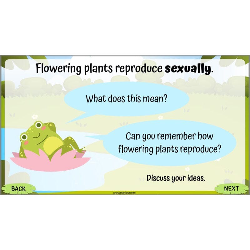 PlanBee Living Things and their Habitats Year 5 Life Cycles KS2 Science