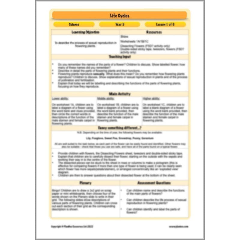 PlanBee Living Things and their Habitats Year 5 Life Cycles KS2 Science