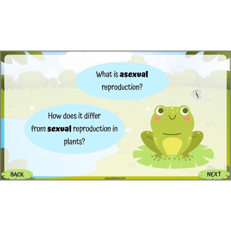 PlanBee Living Things and their Habitats Year 5 Life Cycles KS2 Science