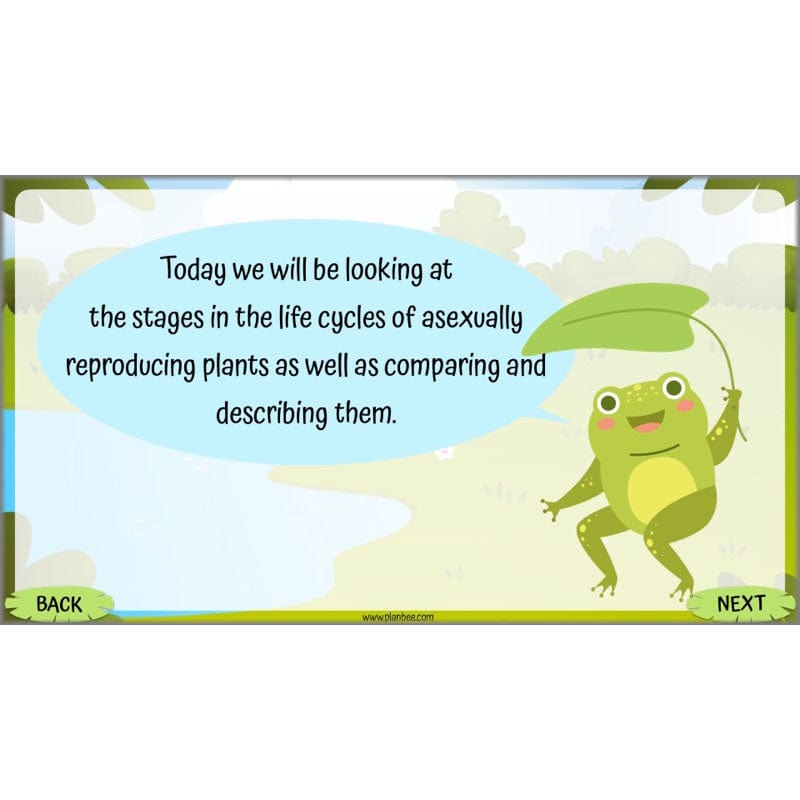 PlanBee Living Things and their Habitats Year 5 Life Cycles KS2 Science