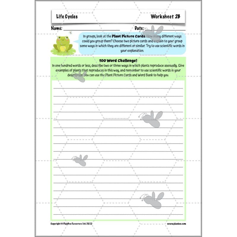 PlanBee Living Things and their Habitats Year 5 Life Cycles KS2 Science