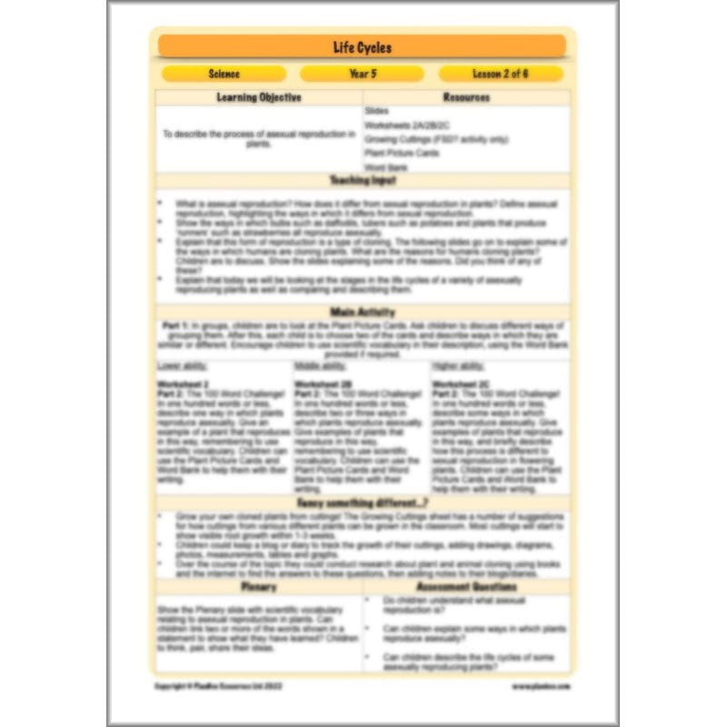 PlanBee Living Things and their Habitats Year 5 Life Cycles KS2 Science