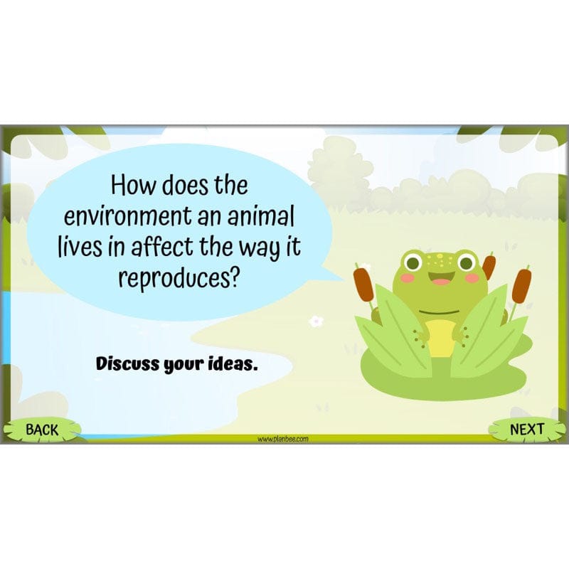 PlanBee Living Things and their Habitats Year 5 Life Cycles KS2 Science