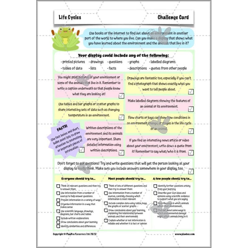 PlanBee Living Things and their Habitats Year 5 Life Cycles KS2 Science