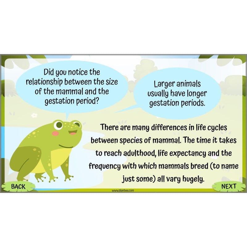 PlanBee Living Things and their Habitats Year 5 Life Cycles KS2 Science