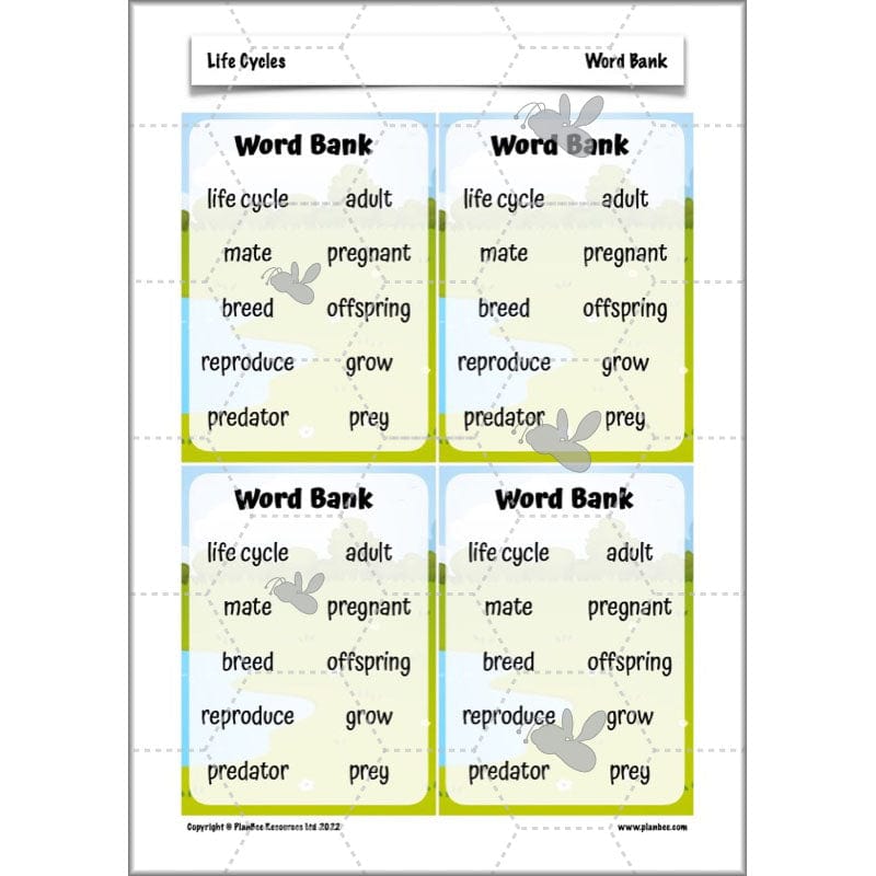 PlanBee Living Things and their Habitats Year 5 Life Cycles KS2 Science