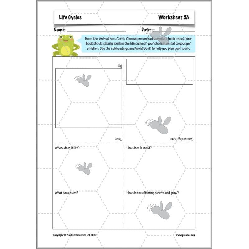 PlanBee Living Things and their Habitats Year 5 Life Cycles KS2 Science