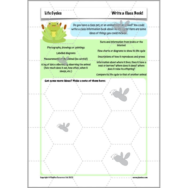PlanBee Living Things and their Habitats Year 5 Life Cycles KS2 Science