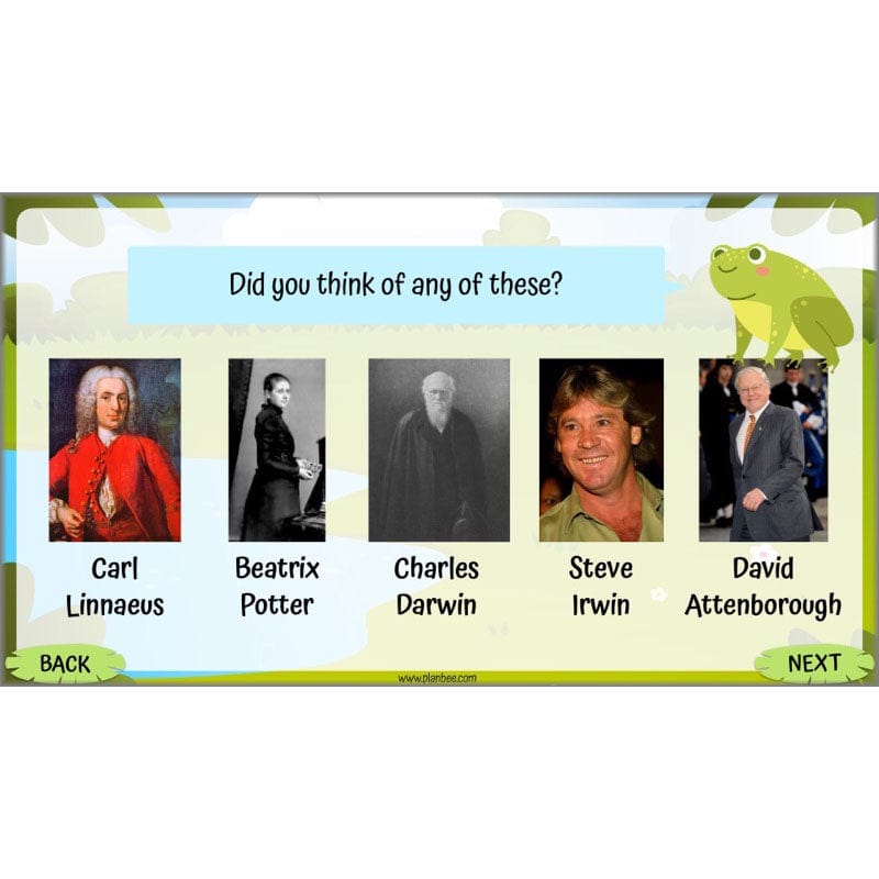 PlanBee Living Things and their Habitats Year 5 Life Cycles KS2 Science