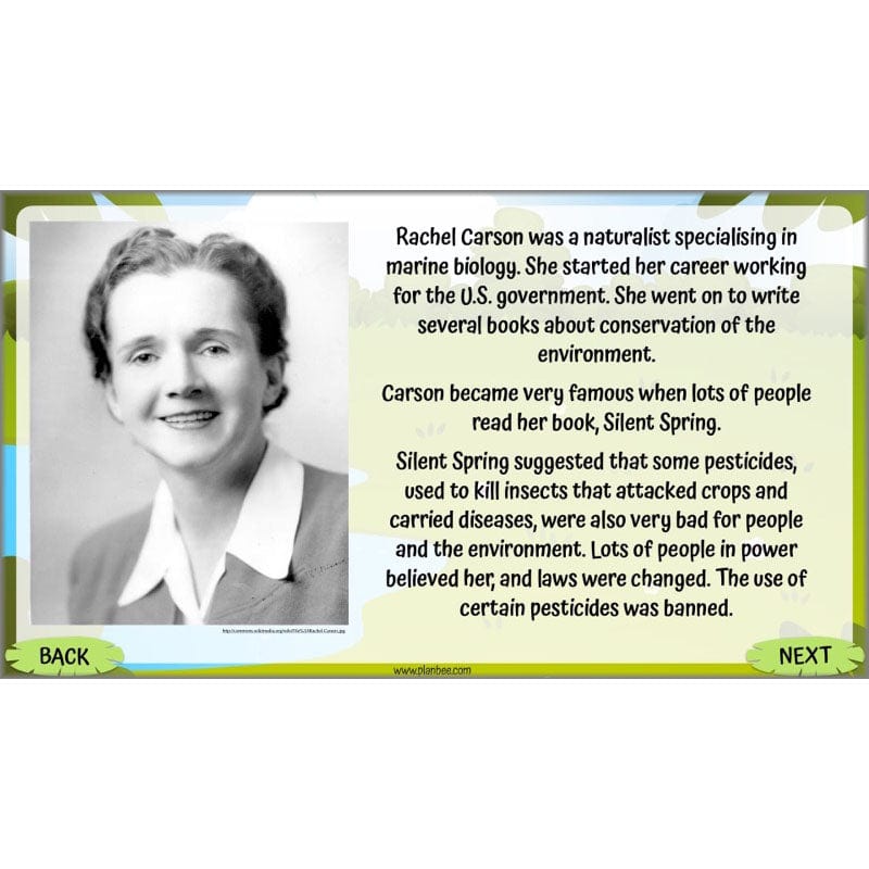 PlanBee Living Things and their Habitats Year 5 Life Cycles KS2 Science