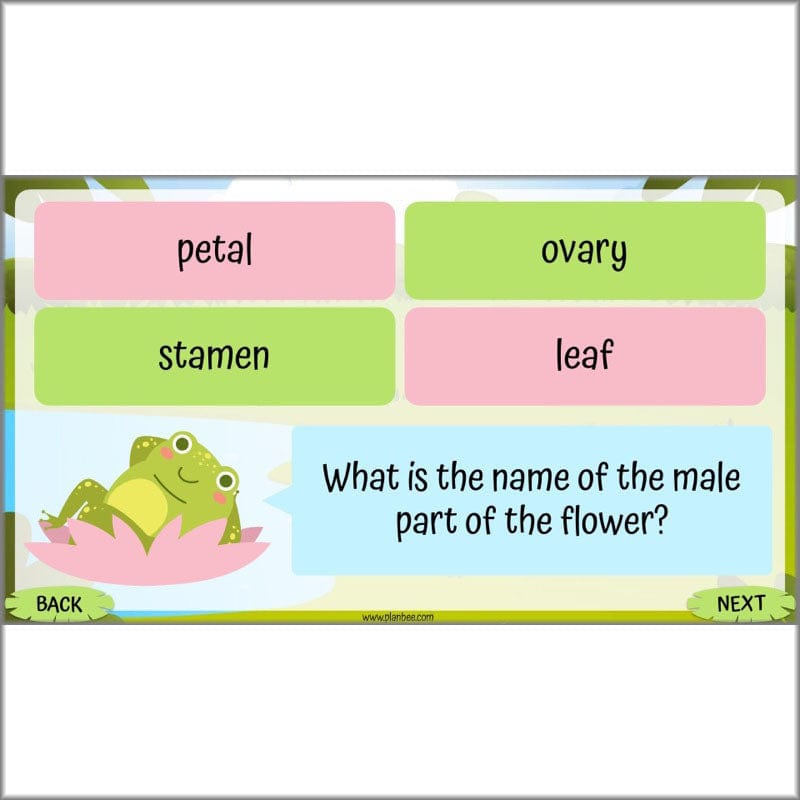 PlanBee Living Things and their Habitats Year 5 Life Cycles KS2 Science