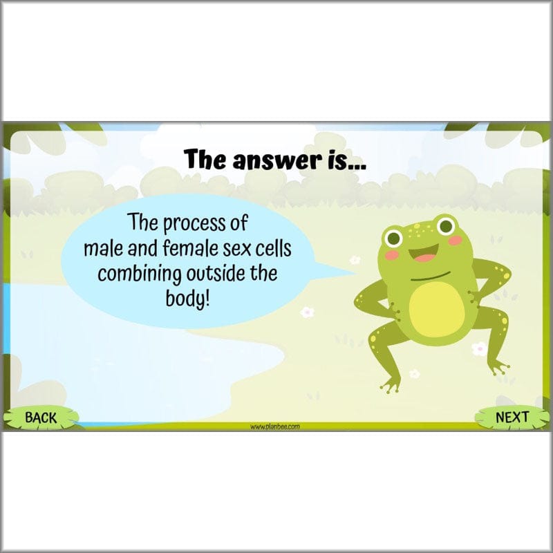 PlanBee Living Things and their Habitats Year 5 Life Cycles KS2 Science