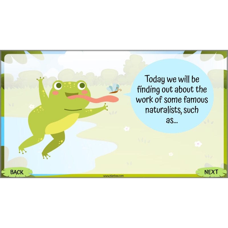 PlanBee Living Things and their Habitats Year 5 Life Cycles KS2 Science