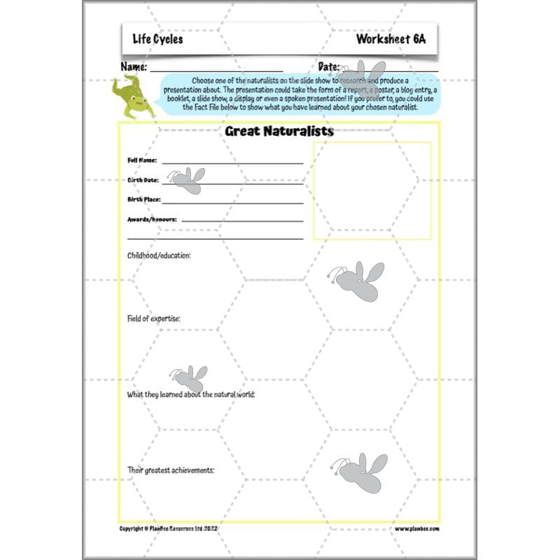 PlanBee Living Things and their Habitats Year 5 Life Cycles KS2 Science