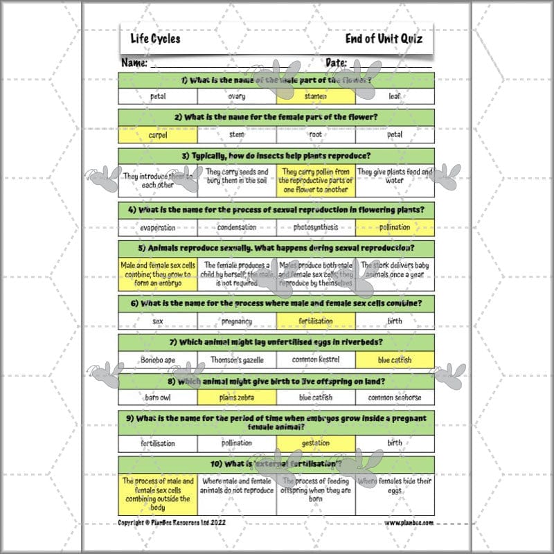 PlanBee Living Things and their Habitats Year 5 Life Cycles KS2 Science