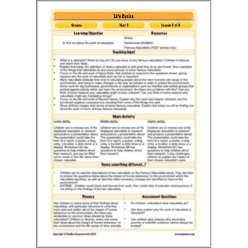 PlanBee Living Things and their Habitats Year 5 Life Cycles KS2 Science