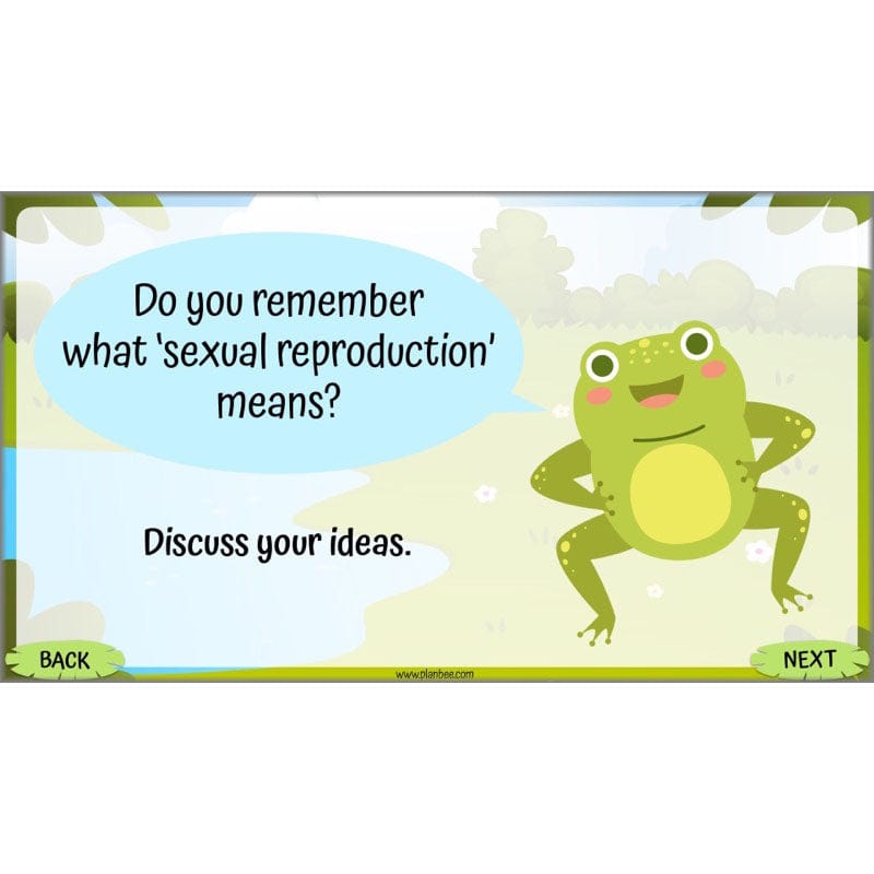 PlanBee Living Things and their Habitats Year 5 Life Cycles KS2 Science