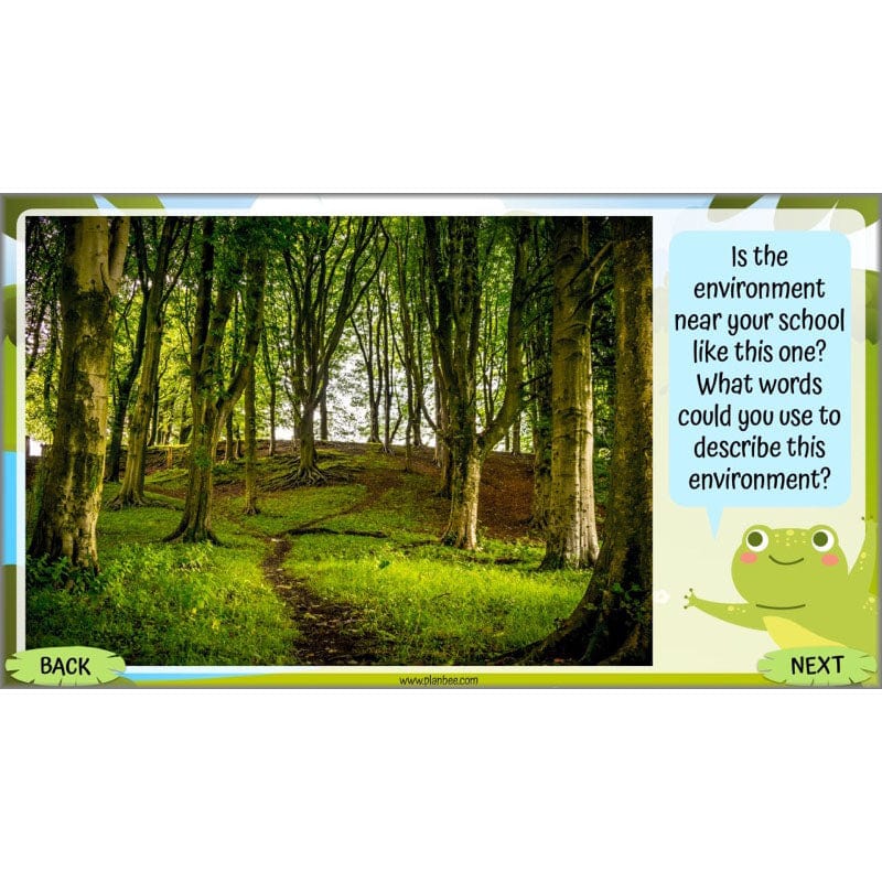 PlanBee Living Things and their Habitats Year 5 Life Cycles KS2 Science