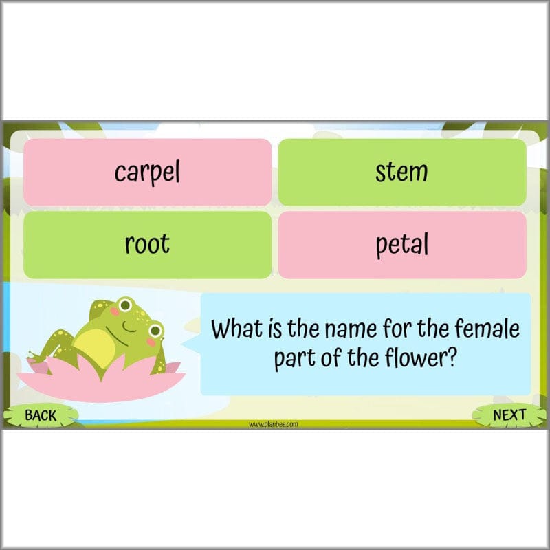 PlanBee Living Things and their Habitats Year 5 Life Cycles KS2 Science