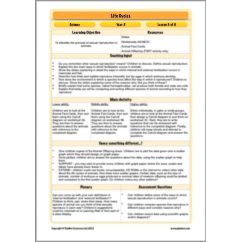 PlanBee Living Things and their Habitats Year 5 Life Cycles KS2 Science