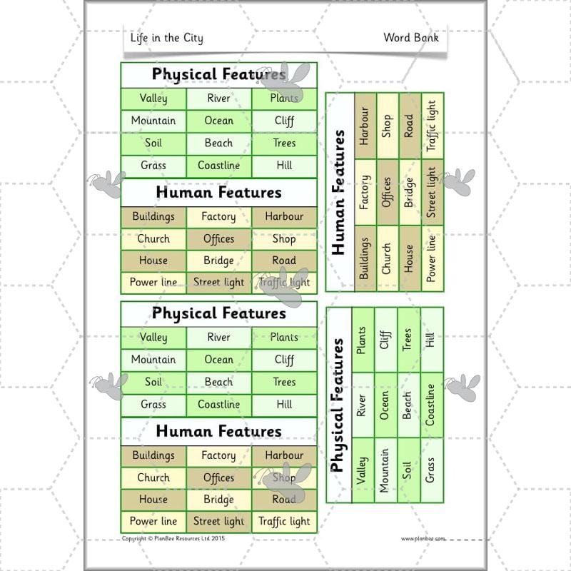 PlanBee Life in the City - Geography lesson resources for KS1