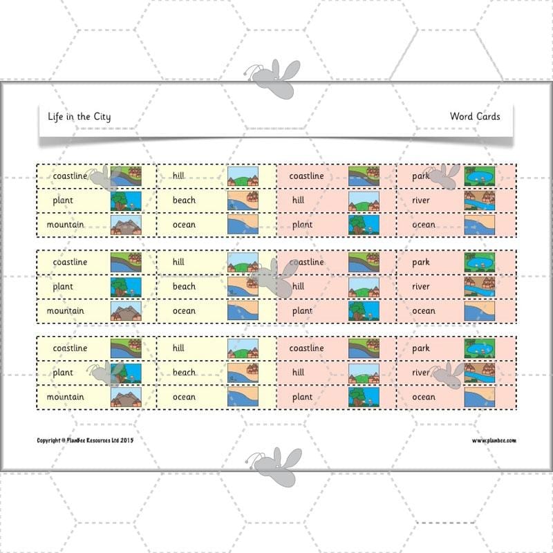 PlanBee Life in the City - Geography lesson resources for KS1