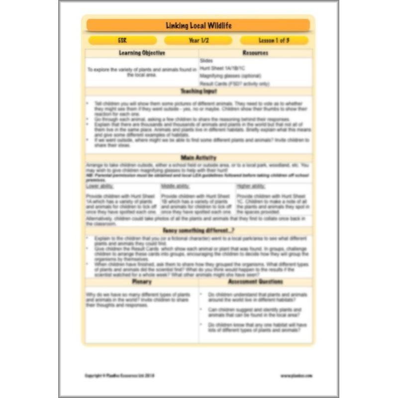 PlanBee Biodiversity KS1 Linking Local Wildlife ESR Lessons by PlanBee