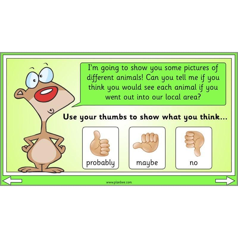 PlanBee Biodiversity KS1 Linking Local Wildlife ESR Lessons by PlanBee