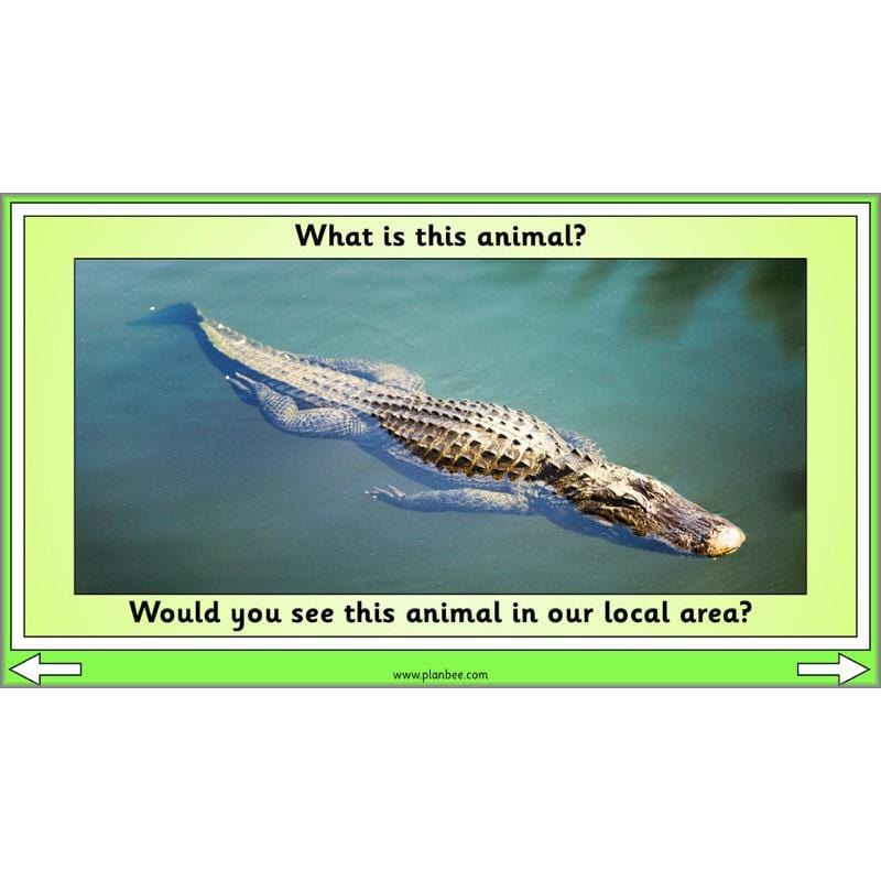 PlanBee Biodiversity KS1 Linking Local Wildlife ESR Lessons by PlanBee