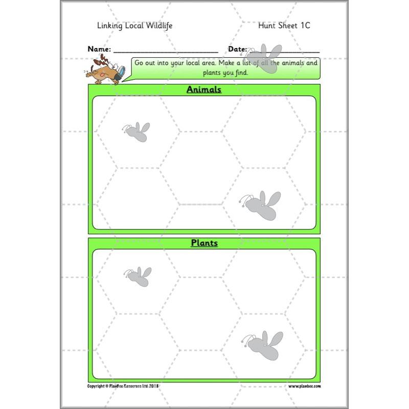 PlanBee Biodiversity KS1 Linking Local Wildlife ESR Lessons by PlanBee