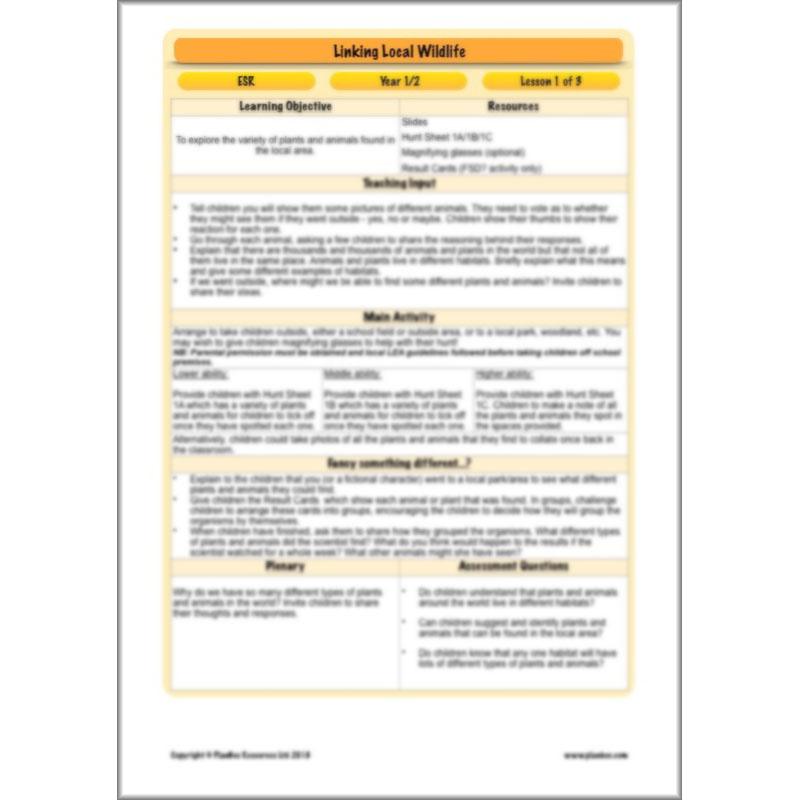 PlanBee Biodiversity KS1 Linking Local Wildlife ESR Lessons by PlanBee