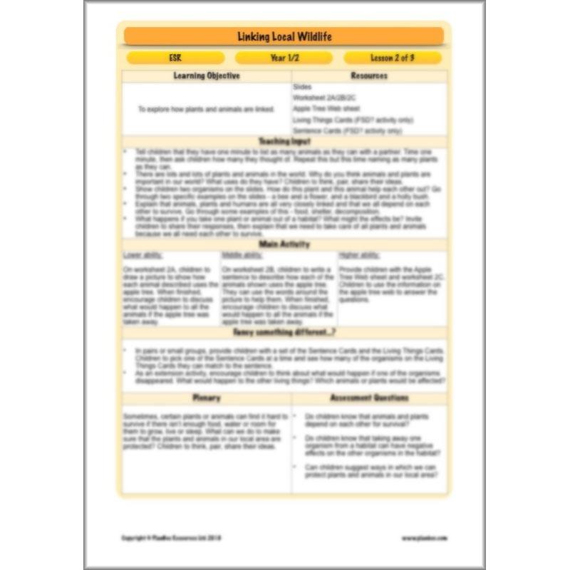 PlanBee Biodiversity KS1 Linking Local Wildlife ESR Lessons by PlanBee