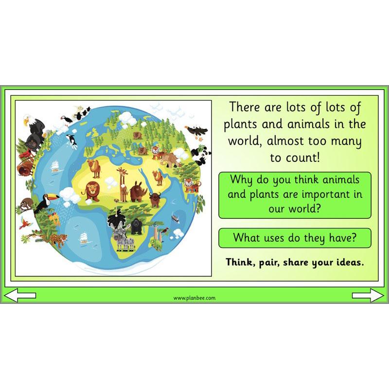 PlanBee Biodiversity KS1 Linking Local Wildlife ESR Lessons by PlanBee
