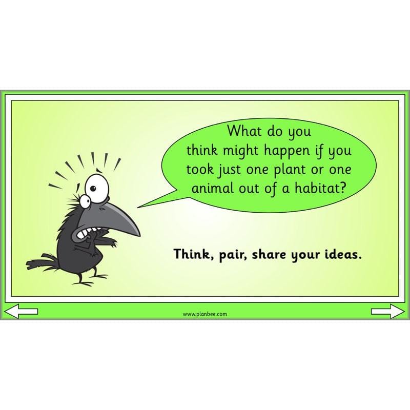 PlanBee Biodiversity KS1 Linking Local Wildlife ESR Lessons by PlanBee