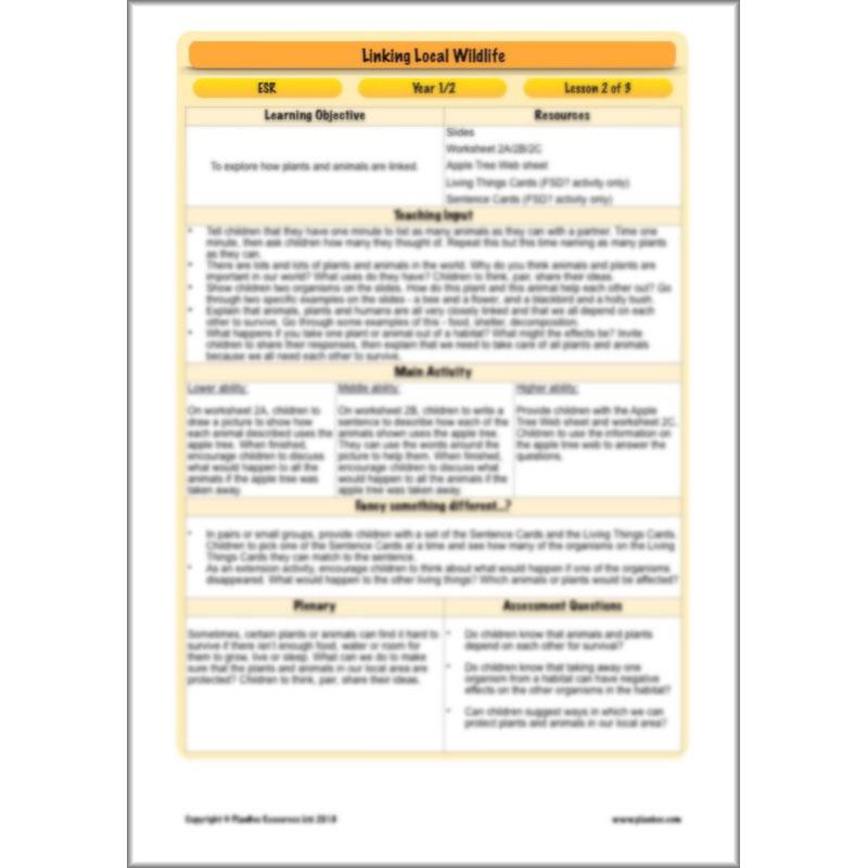 PlanBee Biodiversity KS1 Linking Local Wildlife ESR Lessons by PlanBee