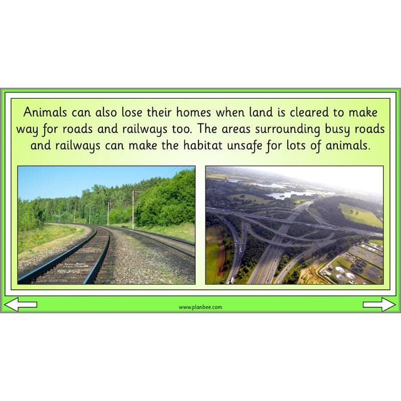 PlanBee Biodiversity KS1 Linking Local Wildlife ESR Lessons by PlanBee