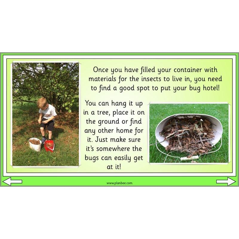PlanBee Biodiversity KS1 Linking Local Wildlife ESR Lessons by PlanBee