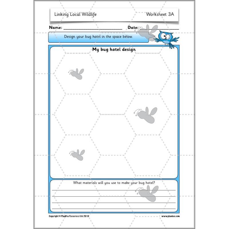 PlanBee Biodiversity KS1 Linking Local Wildlife ESR Lessons by PlanBee
