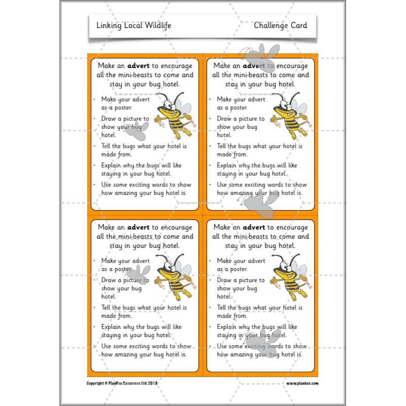 PlanBee Biodiversity KS1 Linking Local Wildlife ESR Lessons by PlanBee