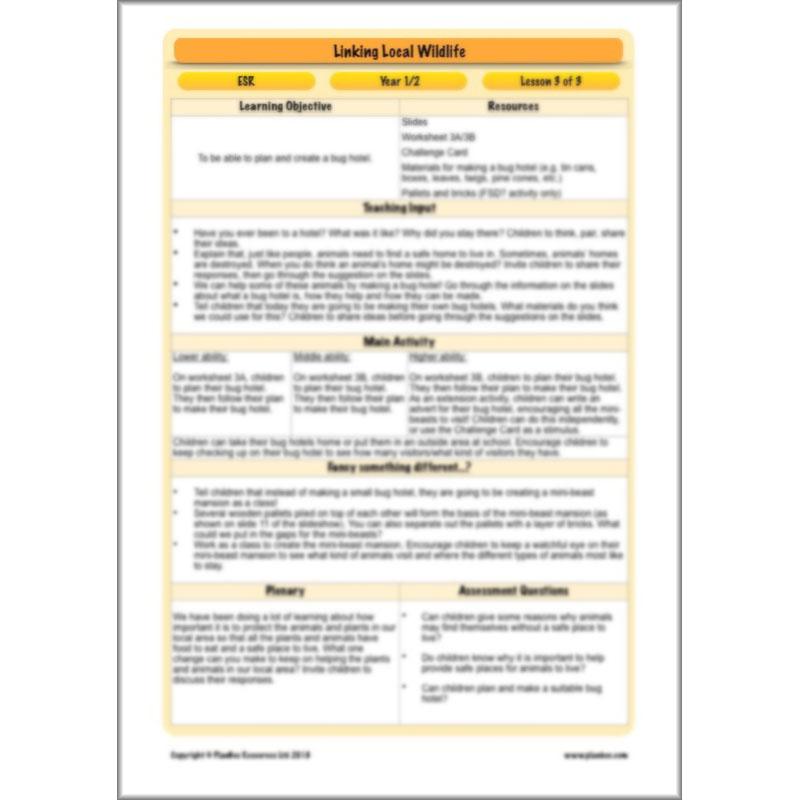 PlanBee Biodiversity KS1 Linking Local Wildlife ESR Lessons by PlanBee